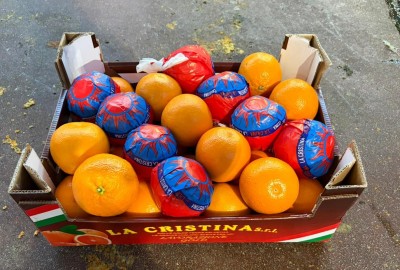 Foto Arance Tarocco Calibro 6 Origine Italia Marchio Cristina 1